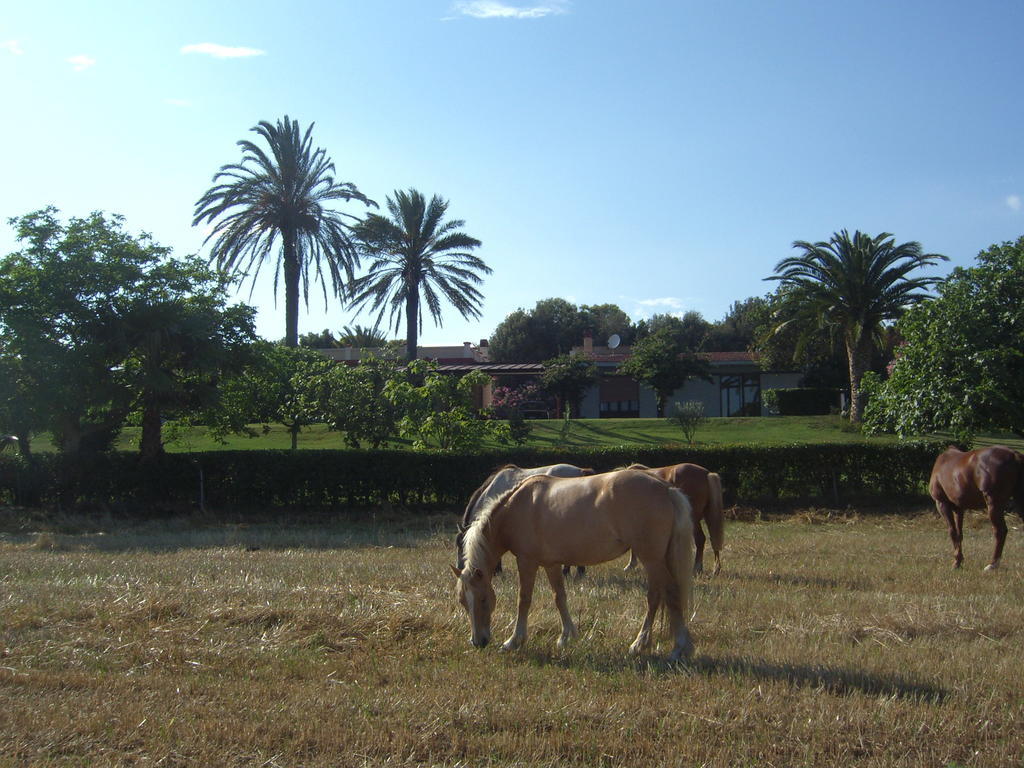 לינה וארוחת בוקר Elmas Santa Igia - Country House מראה חיצוני תמונה